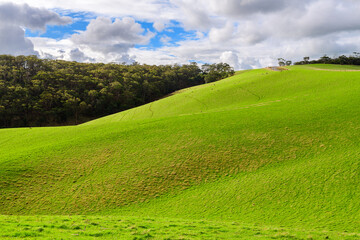 Adelaide Hills green farmlands during the winter season, South Australia