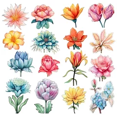 Zelfklevend Fotobehang Floral Symphony: A Pack of Beautiful Flower Elements. Generative AI © DigitalGenetics