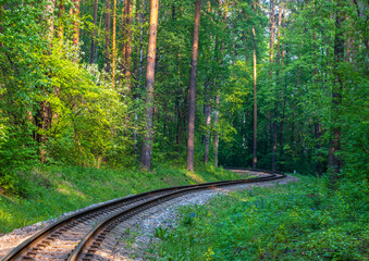 Obraz premium The railway passes through a green forest on a summer day.