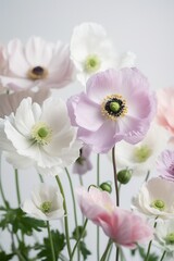 Whispering Petals: Delicate Pink and purple Anemone Flowers. Generative AI