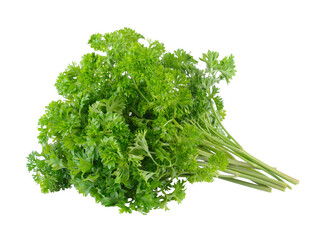 parsley on transparent png