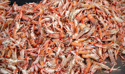 Norwegian  lobsters from the atlantic ocean on the shop counter of a stall in a market hall at Vannes in Brittany, France