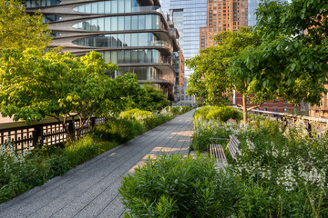 The High Line Park promenade in summer. Elevated greenway in the heart of Chelsea, Manhattan. New...