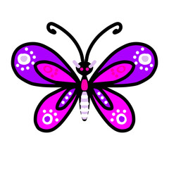 colorful butterfly pink and purple