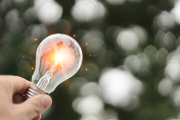 idea green energy in nature, hand holding light bulb concept