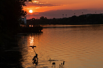 savannah river in Augusta in sunset