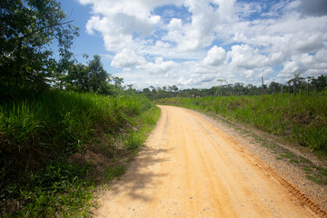 Fototapeta na wymiar Views of the streets and houses of a jungle region in the Peruvian Amazon located near the city of Tarapoto.