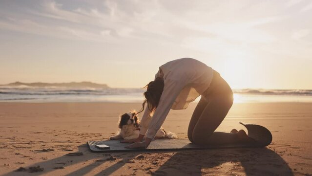 Woman doing workout with dog on ocean beach at sunset. Female doing Yoga and stretching on mat on sand sea shore at sunrise. Strong powerful woman exercises in the morning or evening outdoors. 