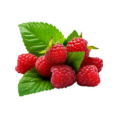 Raspberry with leaves isolated on white background.