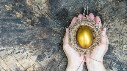 Golden egg opportunity, concept of wealth, a chance to be rich in investment success and retirement planning with egg in bird nest on old wood - obrazy, fototapety, plakaty