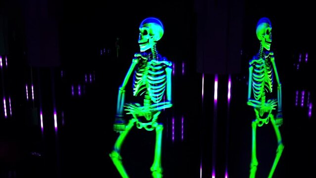 Footage of the indoor neon installations and skeleton projections. Concept