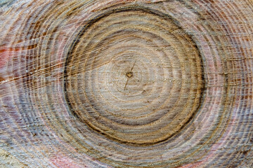 Beautiful wooden fracture old oak, natural texture close up