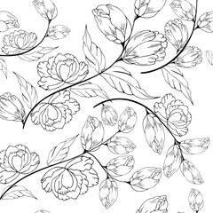 Seamless pattern with outline flowers, peonies and leaves. Hand drawn. For print, background, textile, wallpaper, interior design, etc. Editable vector.