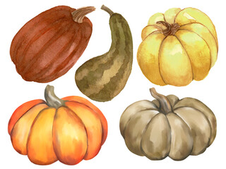 Watercolor elements isolated om white background fall autumn season pumpkin and flower