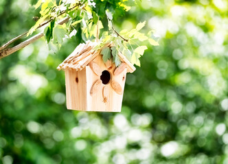 New wood bird house hanging from tree branch during summer season
