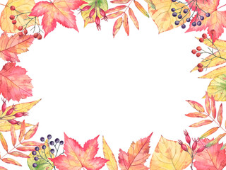 Rectangular frame of autumn leaves and berries on a white background. Hand-drawn watercolor illustration. Red and yellow brightly colored leaves in different shapes with space for text in the middle. 