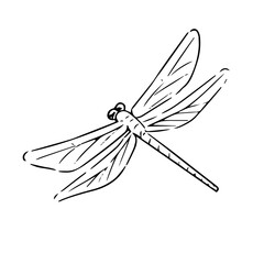 赤とんぼ © gomes