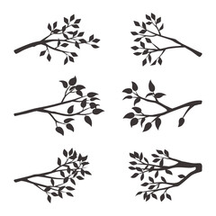 Black vector silhouettes of branches with leaves isolated om a white background.