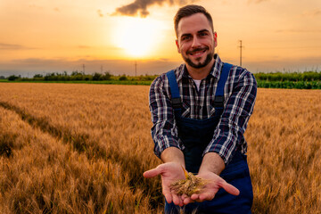 The farmer poses for a photo in the wheat field, proud of his hard work and the bountiful harvest....