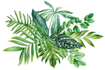 Papier Peint photo Monstera Green palm leaf, Watercolor Jungle green plant. Tropical leaves isolated on white background. Botanical illustration