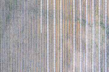 Drone Aerial Farmfield View, top down texture background shot, shot in Algarve region, Portugal.