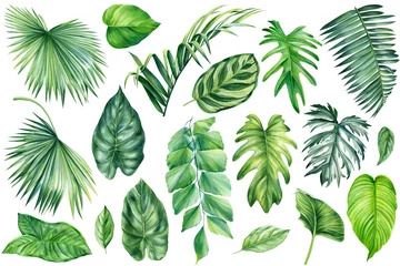 Foto op Plexiglas Tropische bladeren Palm leaves, summer set, watercolor green flora painting for wedding card, congratulation, wallpaper, fashion, texture
