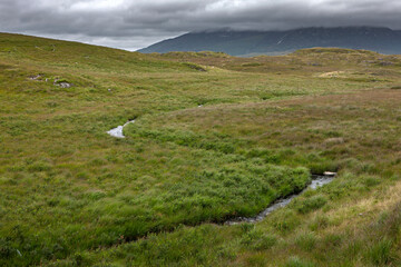 Fototapeta na wymiar Westcoast Ireland. Conemara. Peat and heather fields. Foggy. Small stream. 