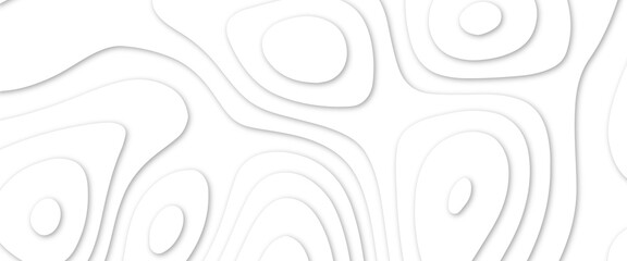 Abstract wavy line 3d paper cut white background. White paper cut white background. Abstract realistic papercut decoration textured with wavy layers and shadow. Abstract realistic papercut decoration	