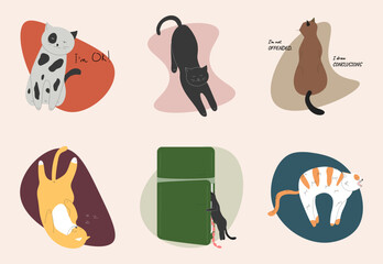 Retro set of different cats on a isolated background.