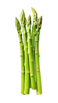 Fresh asparagus isolated on transparent background. PNG format	
