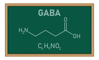 Chemical structure of γ-Aminobutyric acid or gamma-aminobutyric acid or GABA (C4H9NO2). Chemical resources for teachers and students. Vector illustration isolated on white background.