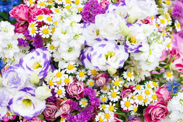Floral background of various colorful flowers, vivid bright blossoms background of flowers, flowers close up   
