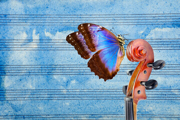 violin fretboard. melody concept. blue morpho butterfly on violin neck against the background of...