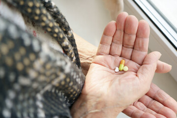 Fototapeta premium Senior elderly woman holding pills in her hand