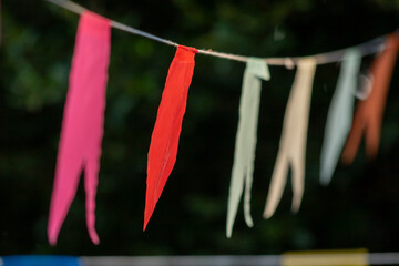 Fototapeta na wymiar Uma fileira de bandeirinhas coloridas de festa junina penduradas em barbante e ao fundo vegetação desfocada.