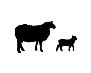 Sheep and lamb silhouette in black color. Mammal animal lives at the farm. Symbol of wool. Domestic agriculture cattle