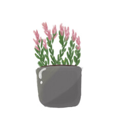 flower in a pot