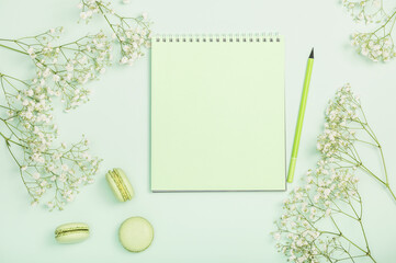 Flat lay composition with green notepad and gypsophila and macaroons on light green background....