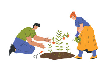 Happy Man and Woman Farmer Character Cultivating Tomato Crop Vector Illustration