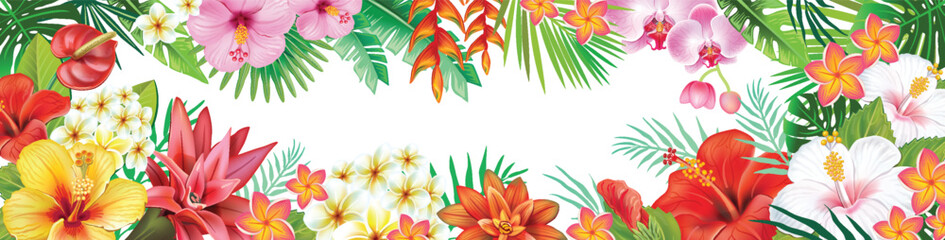 Fototapeta na wymiar Frame from tropical plants and exotic flowers