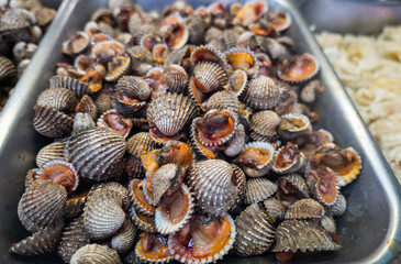 blood clam, Tegillarca granosa in scientific name , on display at seafood market. Close-up of raw sea cockles clams for stir fried clams, popular dish in Asia, China