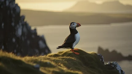 Fotobehang Papegaaiduiker a puffin bird on a cliff with the sea in the background. Generative AI