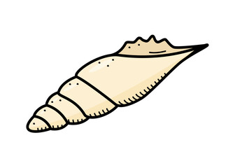 Seashell, single isolate on a white background. Vector illustration of a shell doodle sketch.