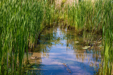 Ohio's Erie Canal Towpath Trail near Cleveland, Ohio, USA