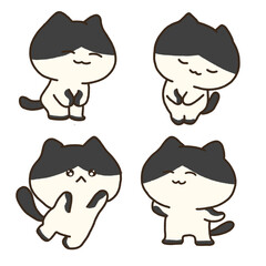 set of cats, meow, kitty, cat, animal, pet, zoo