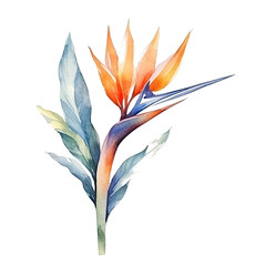 Cute watercolor strelitzia flower. Illustration Generative AI.