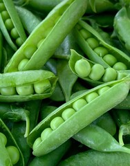 a green peas close up