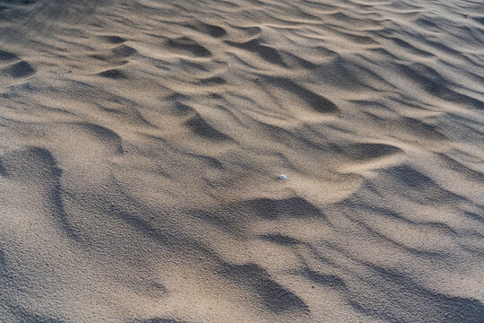 Traces in sand