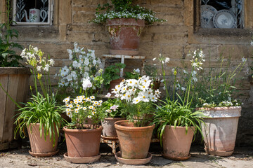 Fototapeta na wymiar Terracotta flower pots with white flowers and foliage, photographed in Stow on the Wold in Gloucestershire, characterful town in The Cotswolds, England UK.