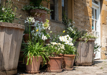 Fototapeta na wymiar Terracotta flower pots with white flowers and foliage, photographed in Stow on the Wold in Gloucestershire, characterful town in The Cotswolds, England UK.